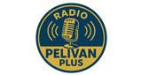 Radio Pelivan Plus