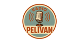 Radio Pelivan