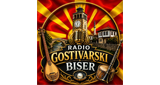 Radio Gostivarski Biser