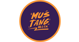 Mustang 88 FM