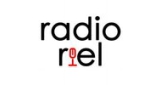 Radio Nightingale Dieselpunk
