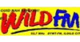 105.9 Wild FM Iloilo