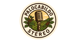 Palocabildo Stéreo