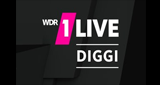 1LIVE Diggi