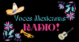 Voces Mexicanas Radio