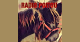 Radio Poitou