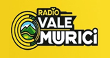Radio Vale Murici