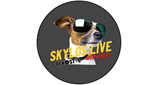 Skylos live radio