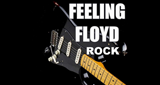 Feeling Floyd Rock 2