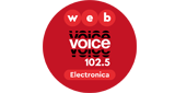 Voice Electronica