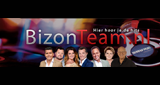 Radio BizonTeam