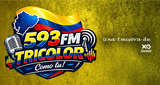593 Fm Tricolor