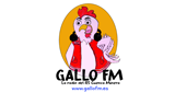 Gallo FM