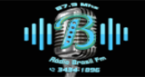 Rádio Brasil FM