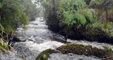 Ondas del Río Guarápas