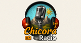 Сhicora Radio