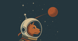 SPACE DOGS RADiO
