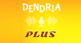 Dendria Plus