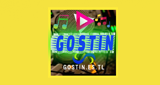 Radio Gostin