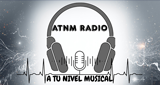Radio A Tu Nivel Musical