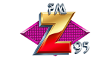 Z95