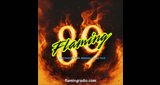 Flaming 89