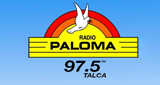 Radio Paloma