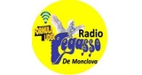 RADIO Pegasso De Monclova