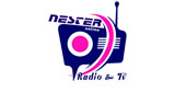 Nester Radio