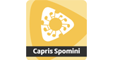 Radio Capris Spomini