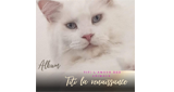 Radio titi l'amour des animaux
