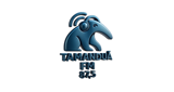 Rádio Tamanduá FM