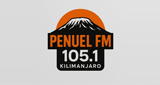 PenuelFM