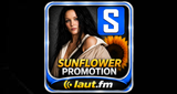 Sunflower Promotion - RnB & HipHop