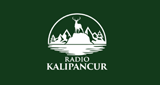 Radio Kalipancur