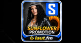 Sunflower Promotion - Discofox & Schlager