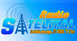 Radio Satelital