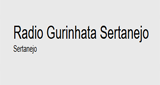 Radio Gurinhata Sertanejo