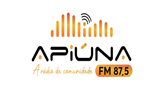 Rádio Apiúna FM