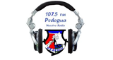 Radio Pedegua