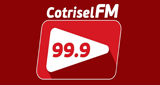 Rádio Cotrisel FM