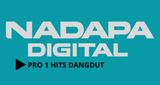 NADAPA DIGITAL PRO1