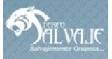 Stereo Salvaje