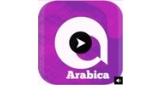 Arabic Haya Radio