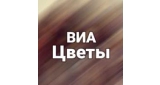ВИА Цветы