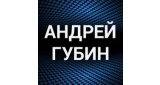 Андрей Губин