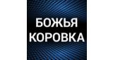 Божья коровка