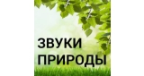 Звуки природы - Nature