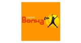 Волна FM