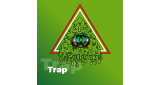 Электроника - Trap